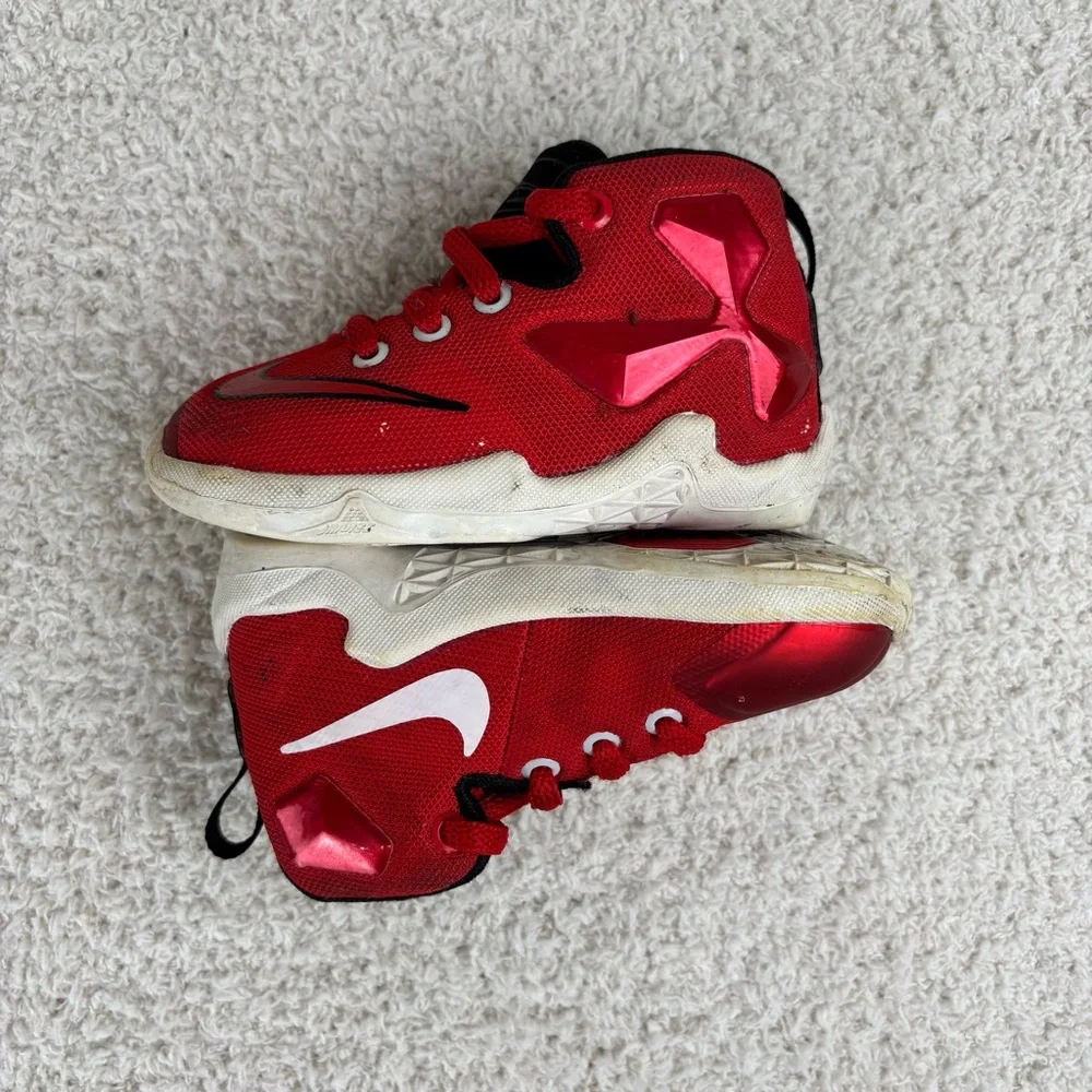Nike lebron shoes
